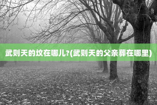 武则天的坟在哪儿?(武则天的父亲葬在哪里)