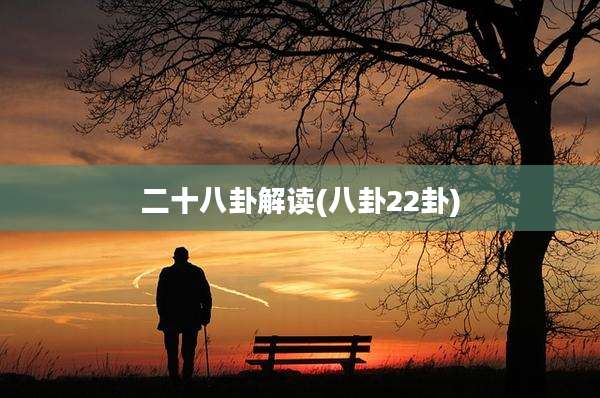 二十八卦解读(八卦22卦)