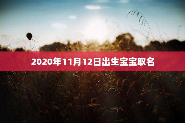 2020年11月12日出生宝宝取名