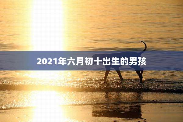 2021年六月初十出生的男孩