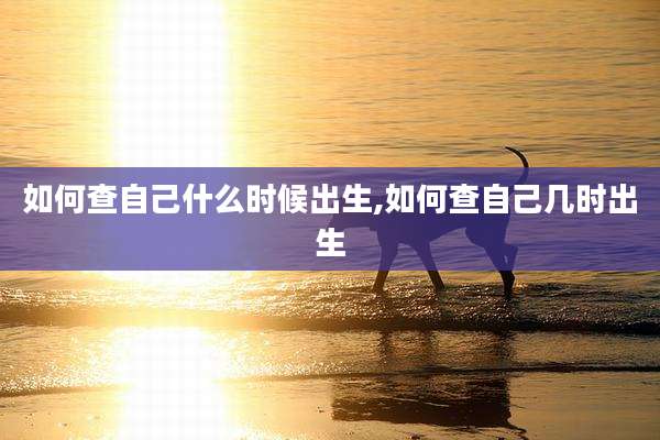 如何查自己什么时候出生,如何查自己几时出生