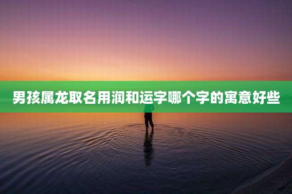 男孩属龙取名用润和运字哪个字的寓意好些