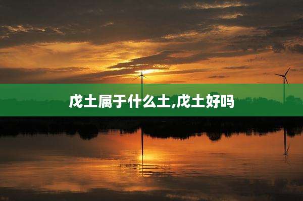 戊土属于什么土,戊土好吗