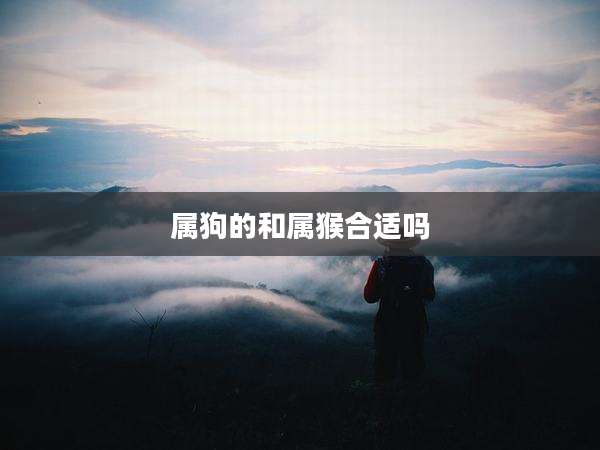 属狗的和属猴合适吗