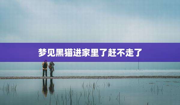 梦见黑猫进家里了赶不走了