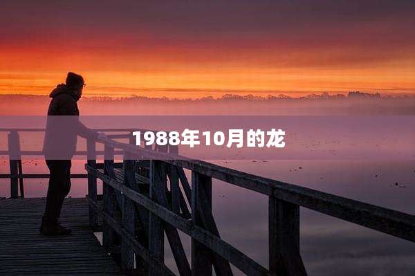 1988年10月的龙