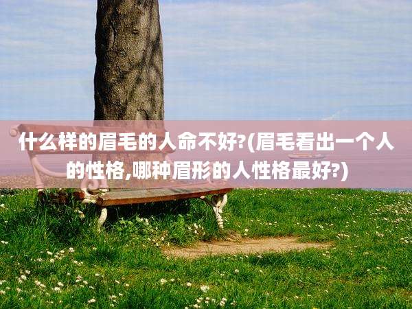 什么样的眉毛的人命不好?(眉毛看出一个人的性格,哪种眉形的人性格最好?)