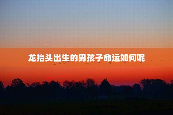 龙抬头出生的男孩子命运如何呢