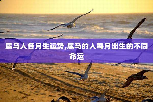 属马人各月生运势,属马的人每月出生的不同命运