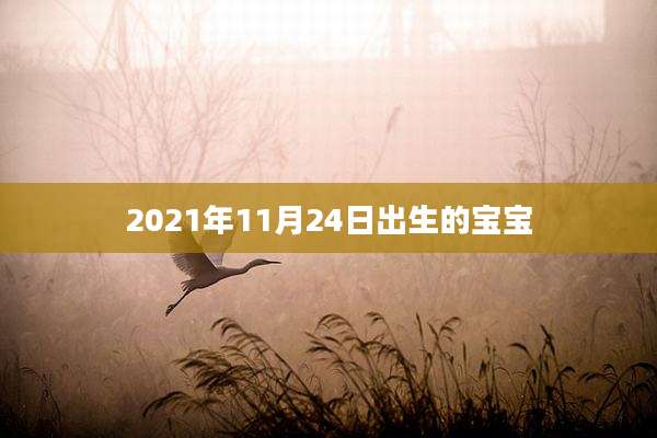 2021年11月24日出生的宝宝