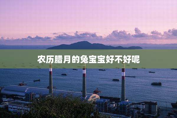 农历腊月的兔宝宝好不好呢