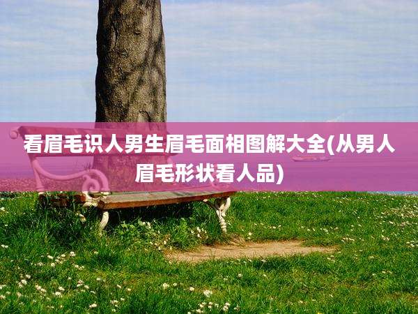 看眉毛识人男生眉毛面相图解大全(从男人眉毛形状看人品)