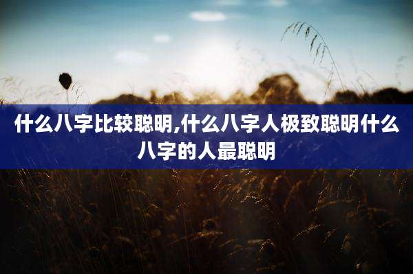 什么八字比较聪明,什么八字人极致聪明什么八字的人最聪明