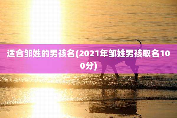 适合邹姓的男孩名(2021年邹姓男孩取名100分)