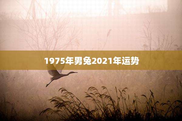 1975年男兔2021年运势