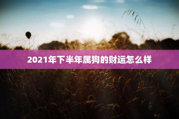2021年下半年属狗的财运怎么样