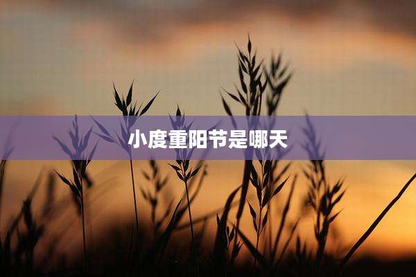 小度重阳节是哪天