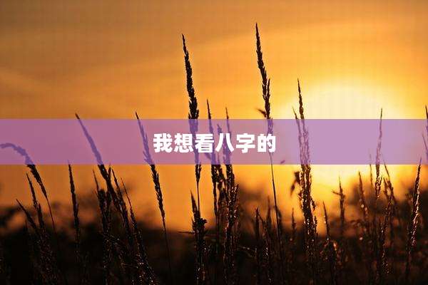 我想看八字的