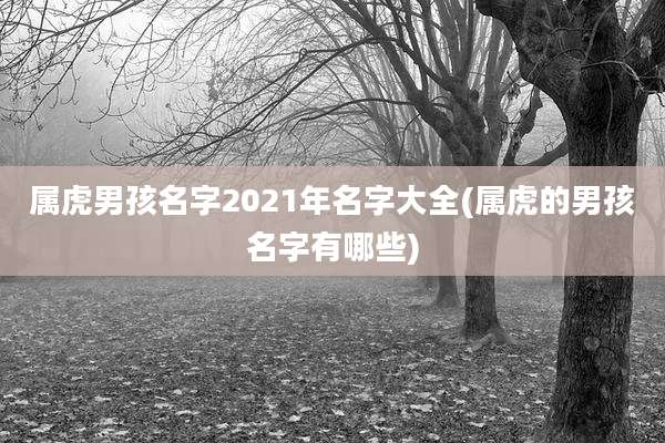 属虎男孩名字2021年名字大全(属虎的男孩名字有哪些)