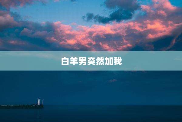 白羊男突然加我