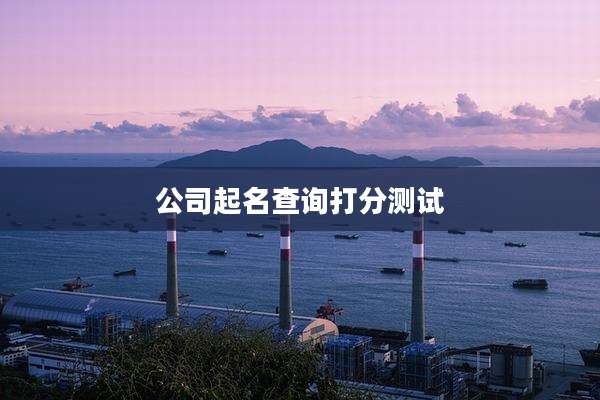 公司起名查询打分测试