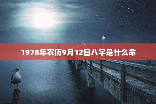 1978年农历9月12日八字是什么命