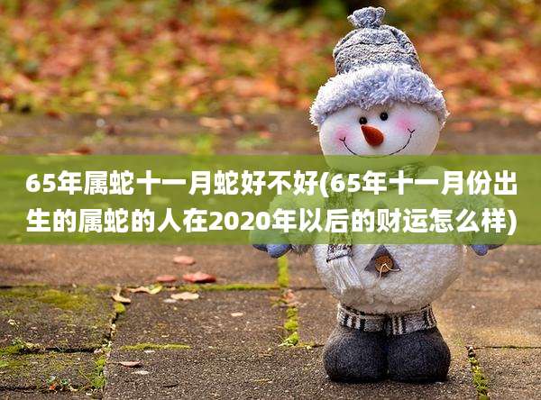 65年属蛇十一月蛇好不好(65年十一月份出生的属蛇的人在2020年以后的财运怎么样)
