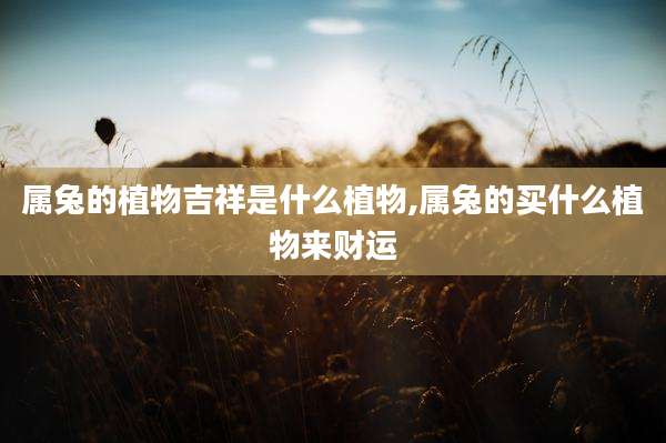 属兔的植物吉祥是什么植物,属兔的买什么植物来财运