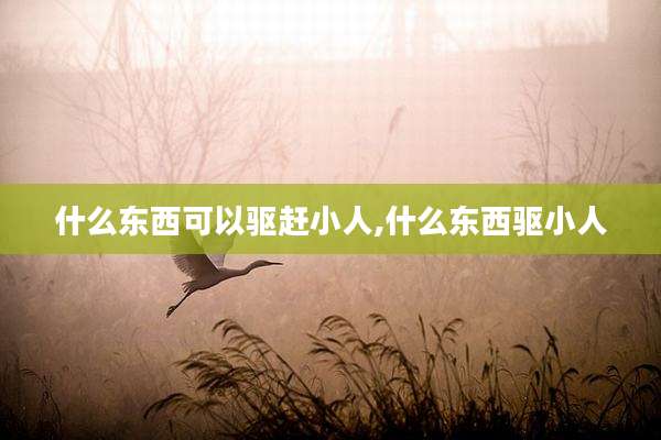 什么东西可以驱赶小人,什么东西驱小人