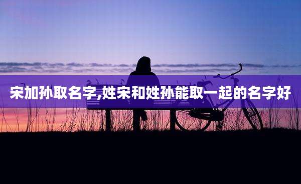宋加孙取名字,姓宋和姓孙能取一起的名字好