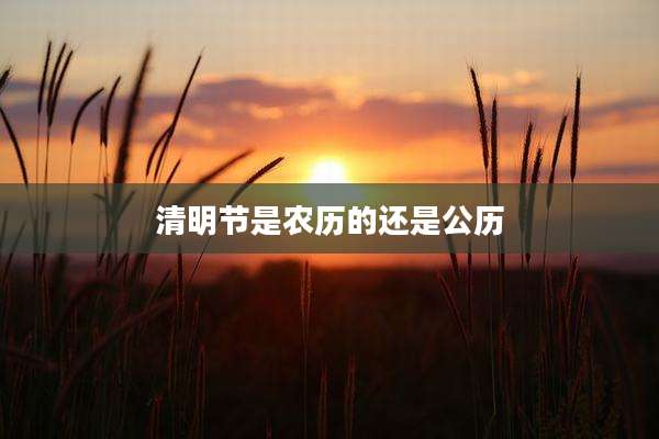 清明节是农历的还是公历