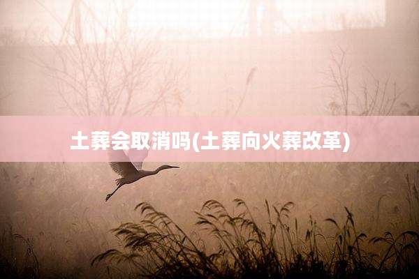土葬会取消吗(土葬向火葬改革)