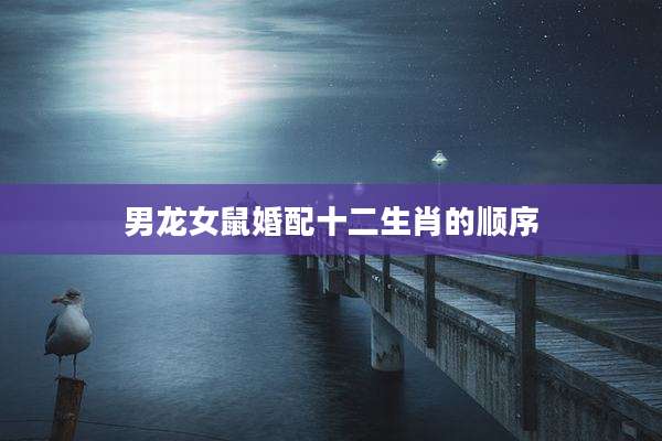 男龙女鼠婚配十二生肖的顺序