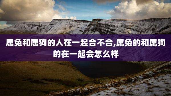 属兔和属狗的人在一起合不合,属兔的和属狗的在一起会怎么样