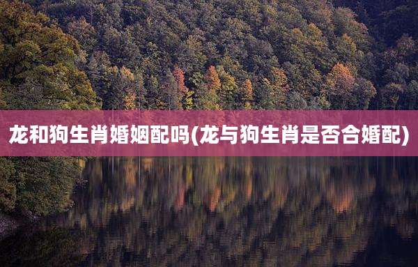 龙和狗生肖婚姻配吗(龙与狗生肖是否合婚配)