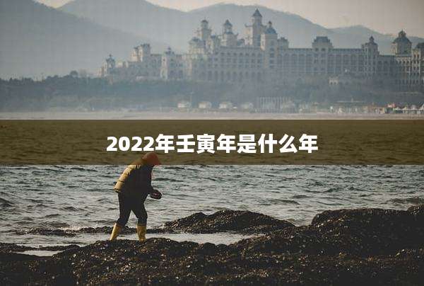 2022年壬寅年是什么年