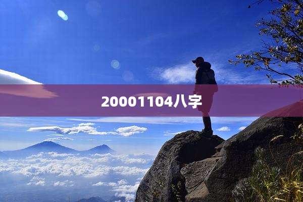 20001104八字