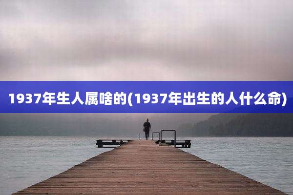 1937年生人属啥的(1937年出生的人什么命)