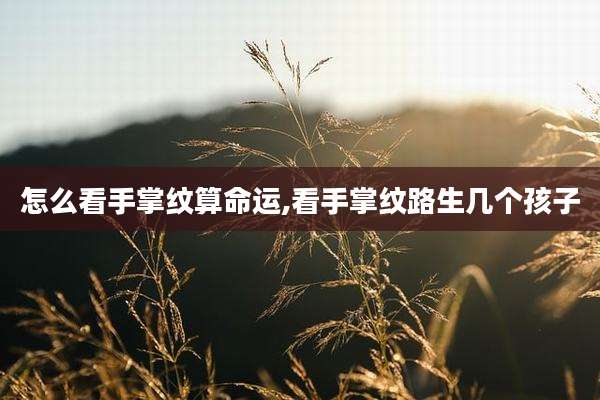 怎么看手掌纹算命运,看手掌纹路生几个孩子