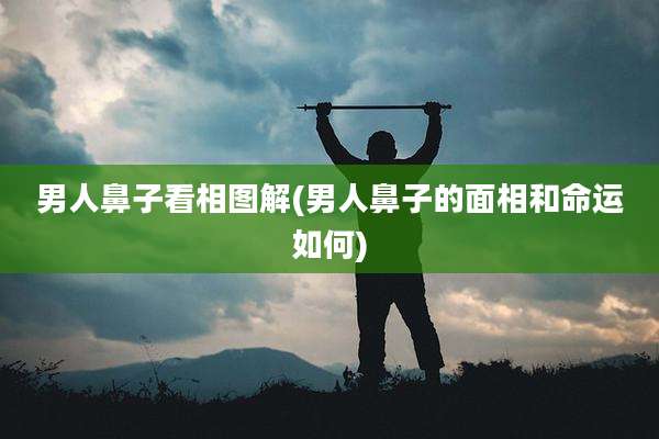 男人鼻子看相图解(男人鼻子的面相和命运如何)