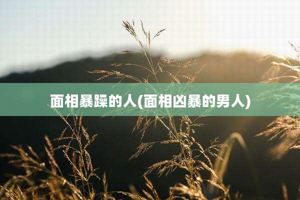 面相暴躁的人(面相凶暴的男人)