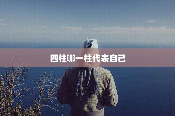 四柱哪一柱代表自己