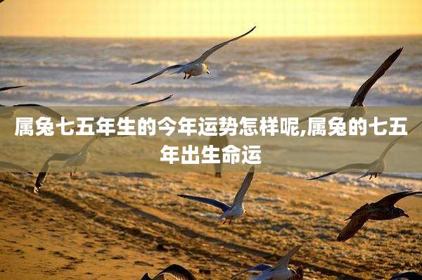 属兔七五年生的今年运势怎样呢,属兔的七五年出生命运