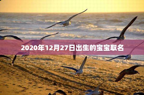 2020年12月27日出生的宝宝取名