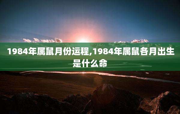 1984年属鼠月份运程,1984年属鼠各月出生是什么命