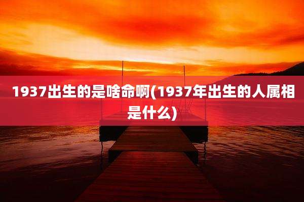 1937出生的是啥命啊(1937年出生的人属相是什么)