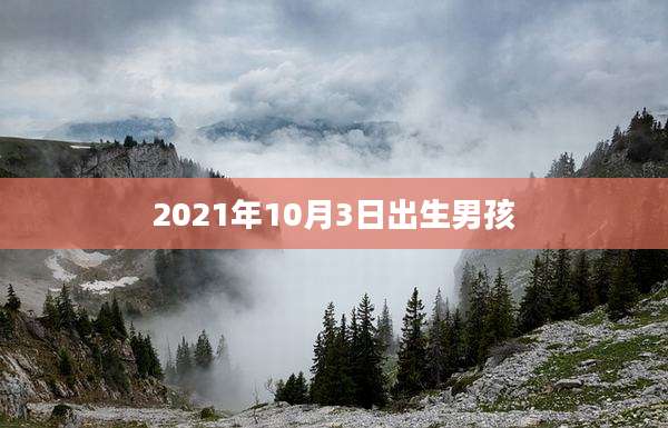 2021年10月3日出生男孩