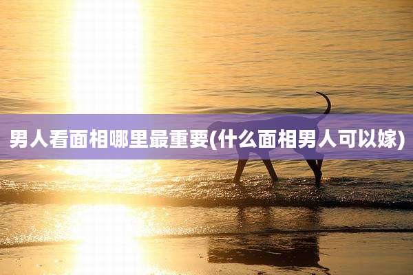 男人看面相哪里最重要(什么面相男人可以嫁)