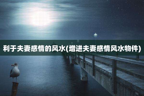 利于夫妻感情的风水(增进夫妻感情风水物件)