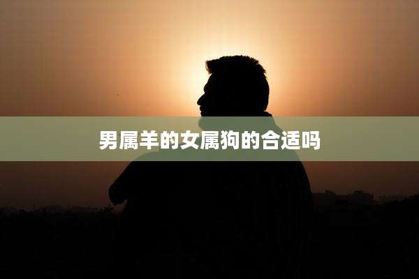 男属羊的女属狗的合适吗